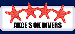 akce s OK Divers